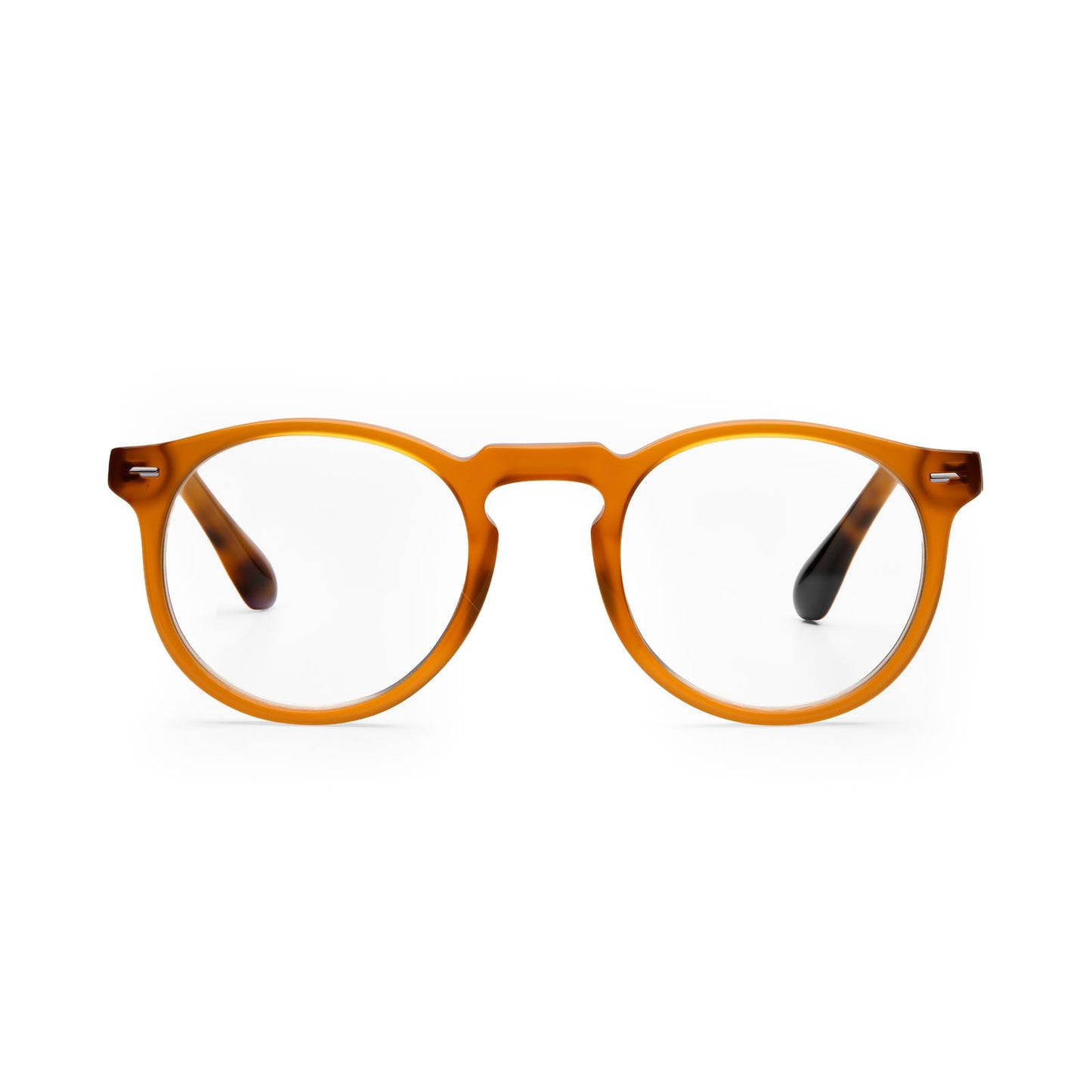 EDVARD POWERLINE - Honey/Havana - GOOD LOOK
