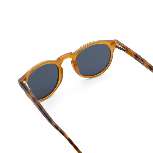 WILLIAM KID - Honey/Havana - GOOD LOOK