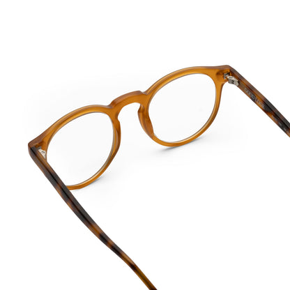 EDVARD POWERLINE - Honey/Havana - GOOD LOOK