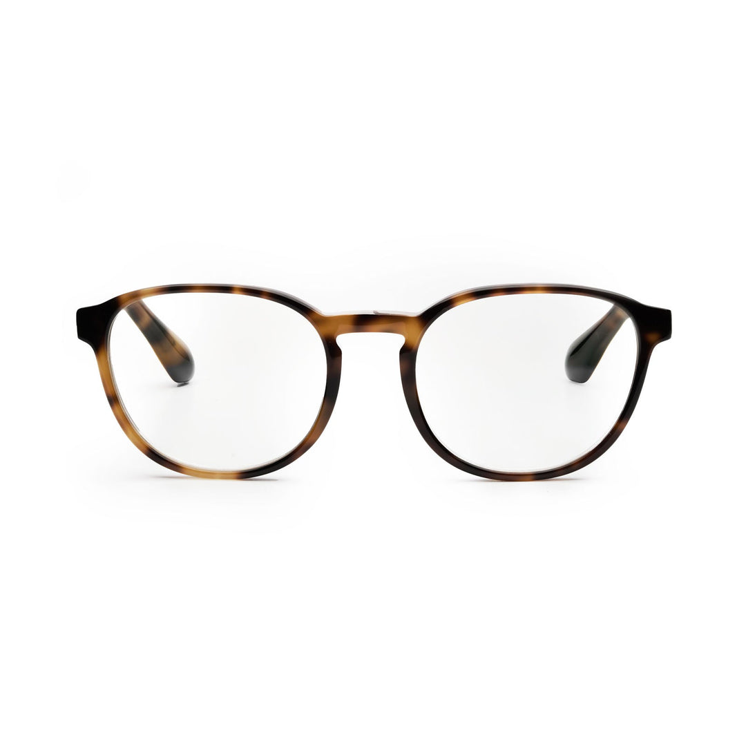 FREDERIK - Havana - GOOD LOOK