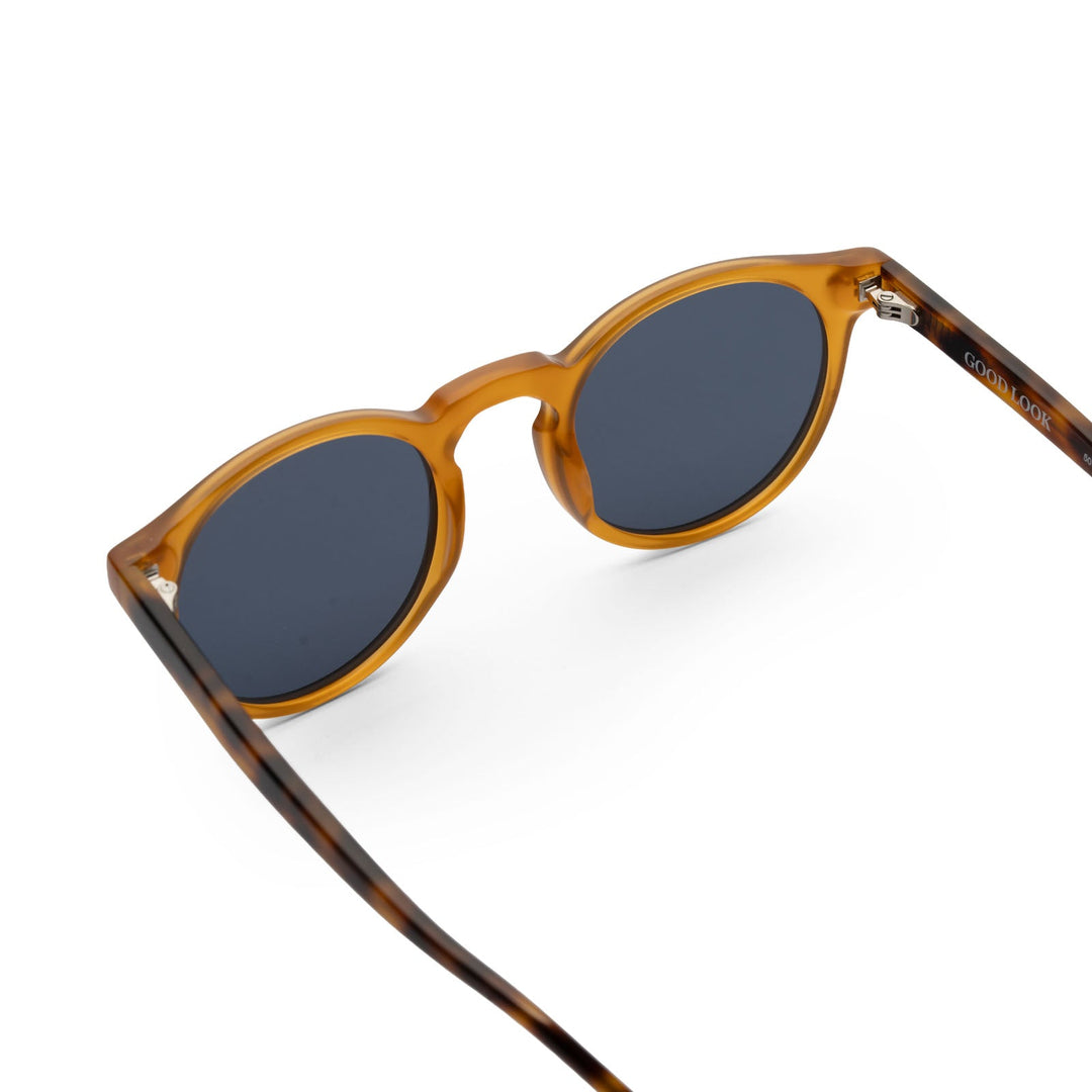 WILLIAM - Honey/Havana - GOOD LOOK